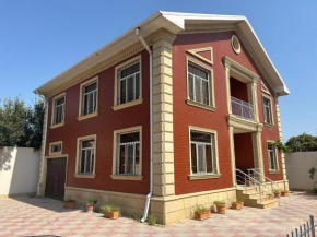 The cat's estate